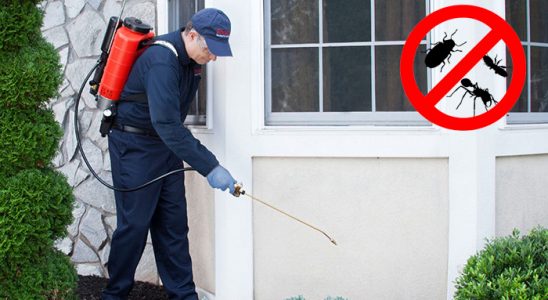 Mersin Hamam Böceği İlaçlama böcek ilaçlama ve haşere kontrolü — ilaclama-tr.com